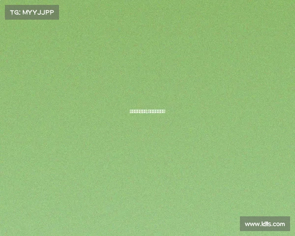 有关科比的赛事;关于科比的球赛